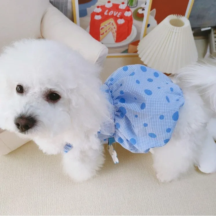 Daisy Laced Polka Dot Pet Dress