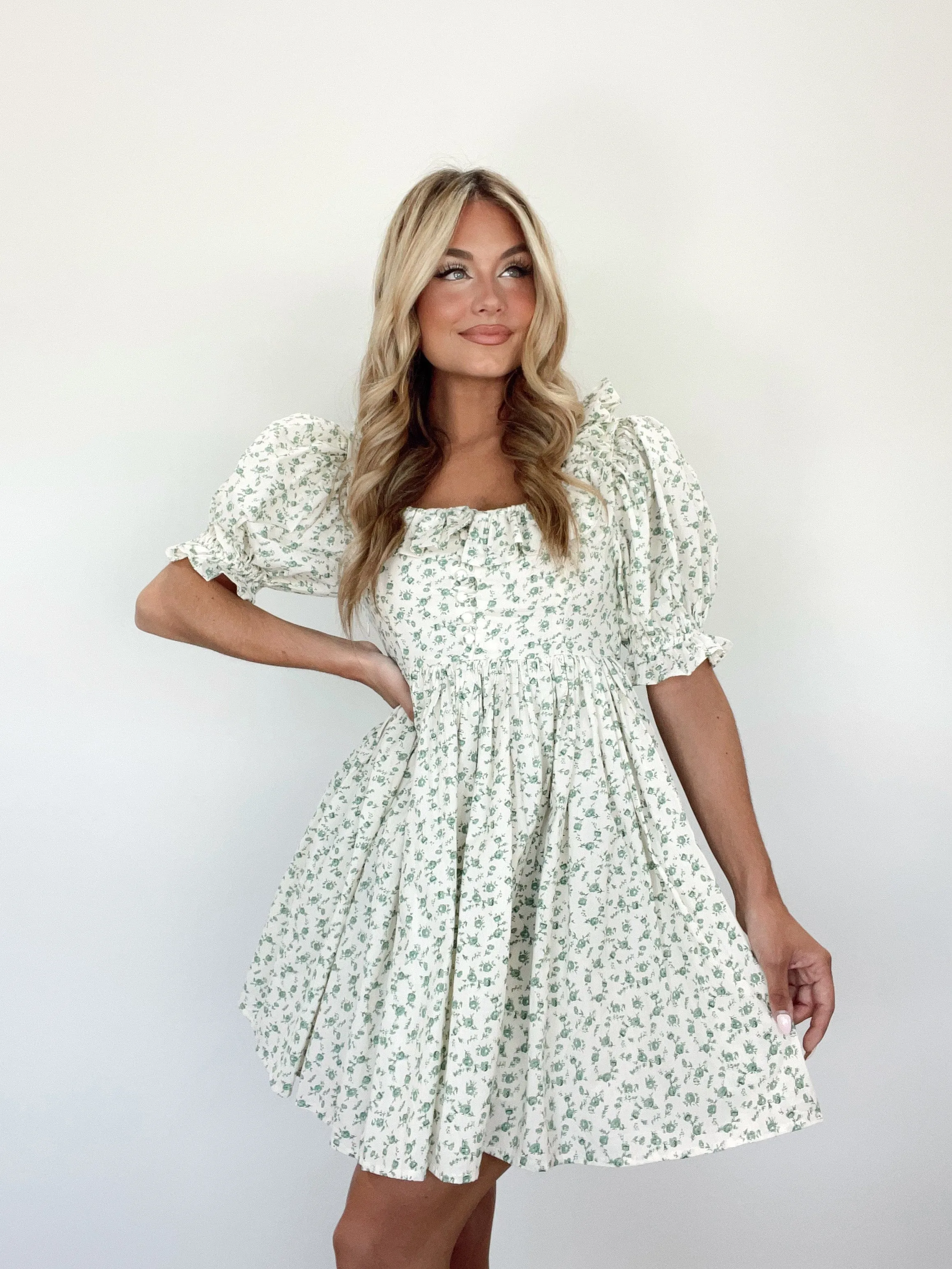 Enchanted Meadow Mini Dress