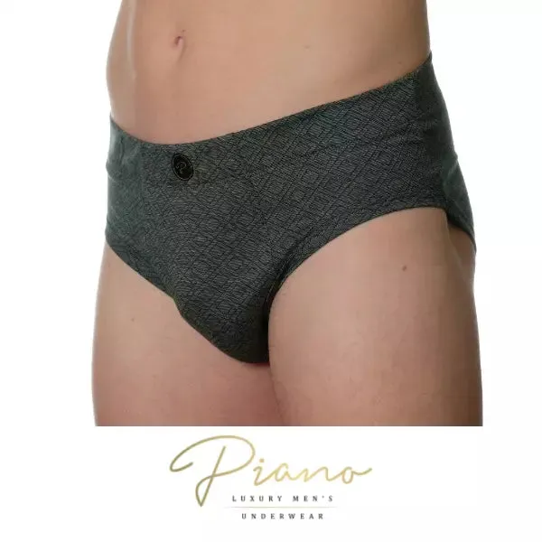 The President - briefs